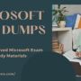 Microsoft Dumps