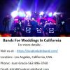 Unique Bands For Weddings In California at Nominal Price.