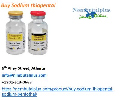 Buy Sodium thiopental 